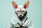 Cornish Rex Cat Dressed As A Ninja On Mint Color Background