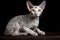 Cornish Rex cat - Originated in England (Generative AI)