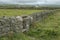 A Cornish stone fence dividing the fields