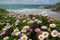 Cornish Wildflower Coastal Landscape