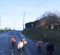 Cornish winter sheep on the road