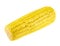 Cornstick corn on the cob isolated