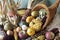 Cornucopia of fall decorative fruits