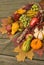 Cornucopia with fall harvest