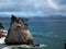 Coromandel Rock