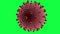 Corona virus 3d render model animation rotation on green screen