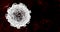 Corona virus cell model in bloodstream isolated, background with copy space - COVID-19, coronavirus outbreak single cell model