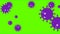 Corona Virus Covid -19 Animation On Green Screen Matte Background. 4K Abstract Corona virus Animation Stock Footage