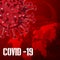 Corona Virus COVID-19  graphic design  icon Vector