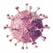 Corona virus covid -19  look like Brain corona virus symbol