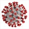 Corona virus covid-19 shape of corona virus  gray red and orange for medical student study