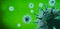 Corona virus with deep field green background 3D rendering
