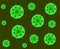 Corona virus illustration. COVID19. Green background.