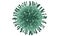 Corona virus ncov Covid-19 flu outbreak, SARS pandemic risk concept, influenza virus cell with clipping path, 3d render