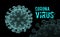 Coronavirus 2019-nCoV virus. Vector 3d illustration on black