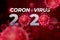 Coronavirus 2020 Hazard