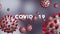 Coronavirus Bacteria Cell ,No Infection and Stop Coronavirus,COVID 19 5