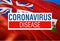Coronavirus in Bermuda flag with DISEASE DISEASE Sign, 2019-nCoV Novel Coronavirus Bacteria. 3D rendering Stop Coronavirus and No