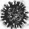 Coronavirus in black and white