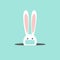 Coronavirus bunny with medical mask. CORONAVIRUS EASTER RABBIT. Easter bunny with easter egg isolated on blue background