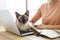 Coronavirus. Business woman working from home with cat Concept home quarantine prevention COVID-19, Coronavirus outbreak situation