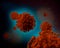 Coronavirus Covid-19 3D Render Illustration Microscopic Red Virus Dark Backgound