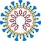 Coronavirus Covid-19 Corona virus scheme cross section vector