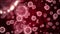 Coronavirus COVID 19 nCov with red blood cells inside human body