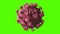 Coronavirus Covid-19 Slowly Rotating on a Green Background, Seamless Looping 3d Animation