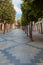 Coronavirus crisis. Empty city hall street in times of coronavirus. Jerez, Andalusia.