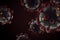 Coronavirus dark background