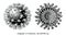 Coronavirus disease 2019 COVID-19. Component of Coronavirus cells engraving illustration vintage style black and white clipart