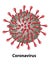 Coronavirus External Features and Structures