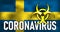 Coronavirus fight in Sweden