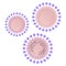 Coronavirus graphic image. The scheme of the structure illustration