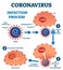 Coronavirus infection process educational explanation vector illustration.