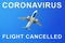 Coronavirus pandemic danger, covid 19 epidemic, air flights cancellation, airplane in the sky, airlines travel restrictions