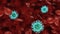 Coronavirus with red blood cells close-up macro view, 3d animation.