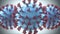 Coronavirus Respiratory Infections Viruses Mutation