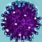 Coronavirus with spike protein membrane