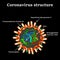 Coronavirus. The structure of the Chinese coronavirus. Influenza virus. Flu. Vector illustration.