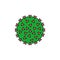 Coronavirus vector icon. Bacterium sign. Virus