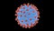 coronavirus virion. 3D Scan render - rotating seamless loop