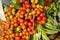 Corozo tropical fruit - Bactris guineensis -