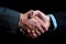 Corporate accord: a compelling image capturing the handshake of two businessmen, setting the tone for a professional and