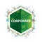 Corporate floral plants pattern green hexagon button