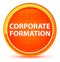 Corporate Formation Natural Orange Round Button