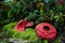 Corpse flower was made of interlocking plastic bricks toy