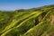 Corral Canyon Super Bloom