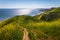 Corral Canyon Super Bloom